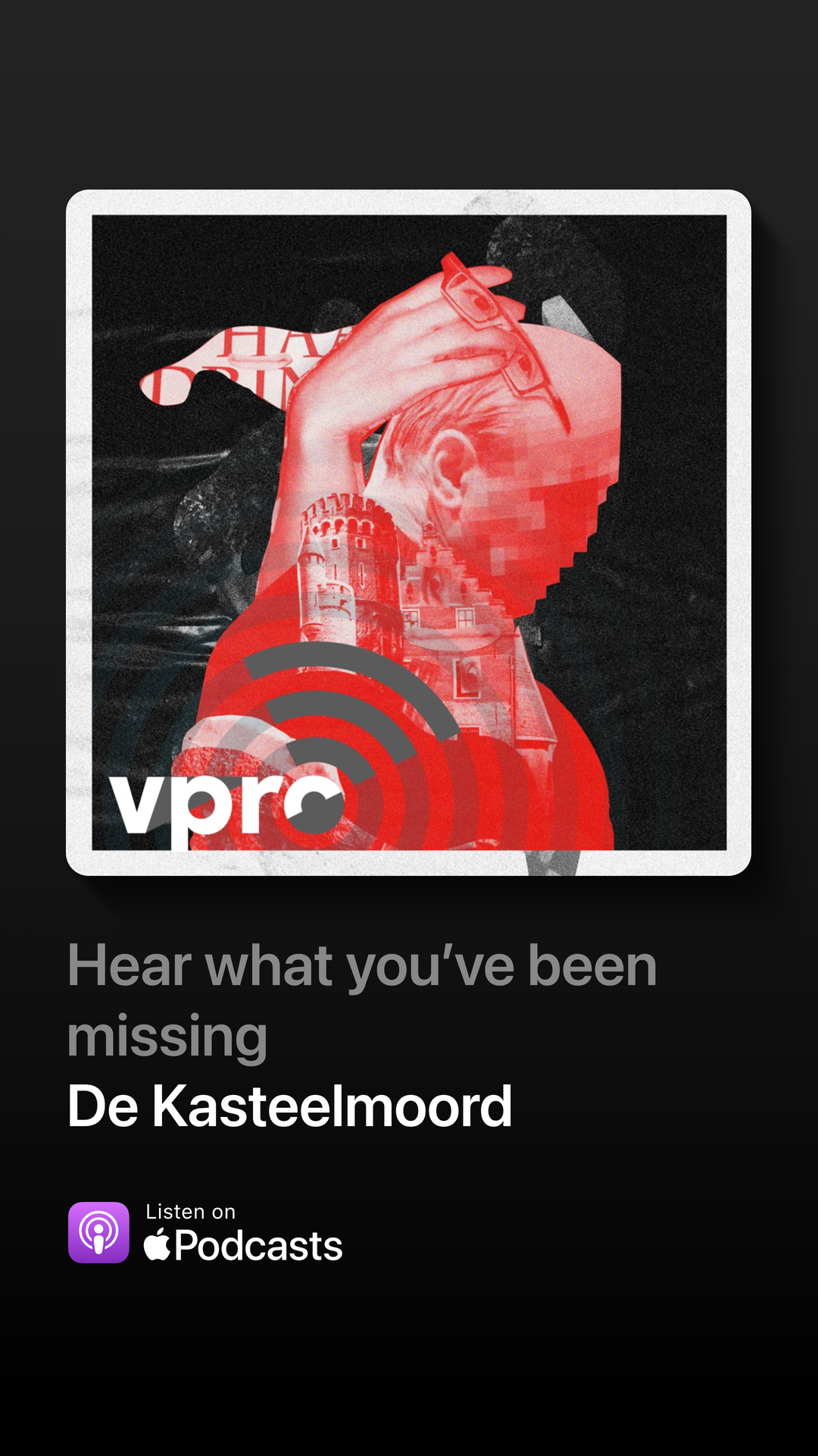 De Kasteelmoord